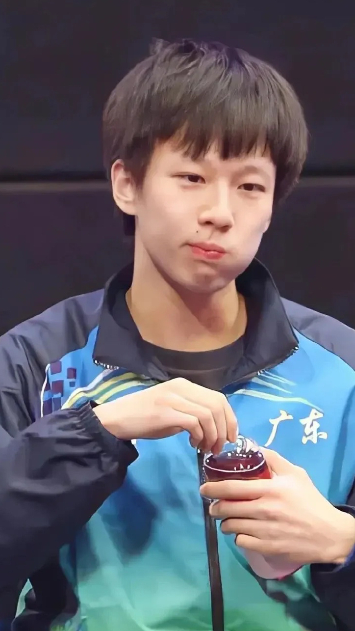 奥地利乒乓球队绝地反击韩国乒乓球队,水谷隼高光表现 奥地利乒乓球队绝地反击韩国乒乓球队,水谷隼高光表现