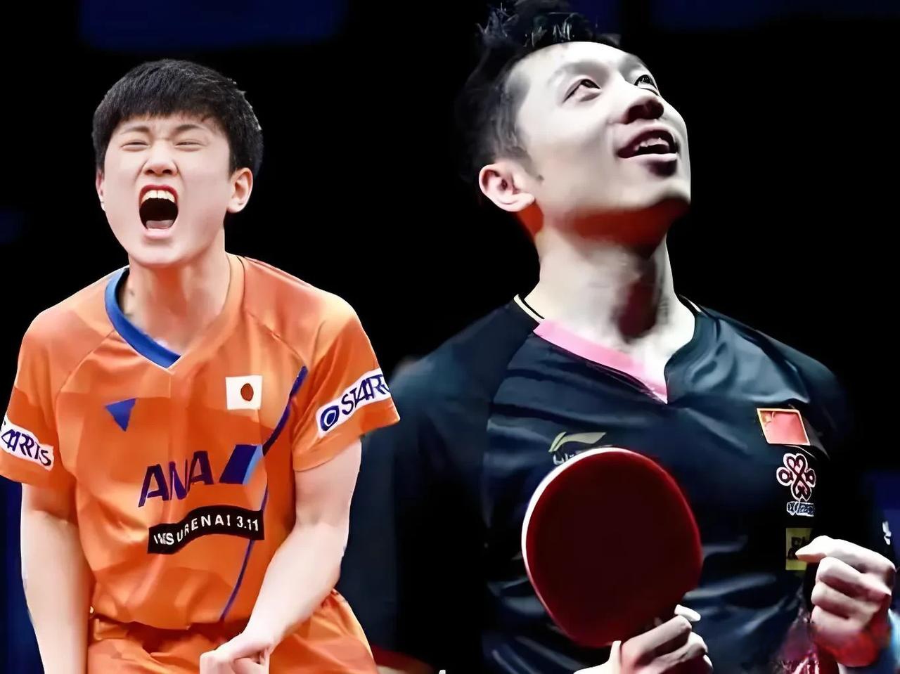 比利时乒乓球队血洗法国乒乓球队，许昕送出助攻的简单介绍