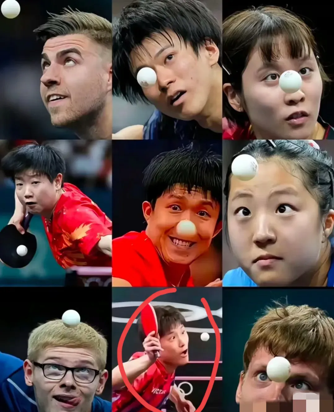 关于韩国乒乓球队力克德国乒乓球队，张本智和爆发神勇的信息