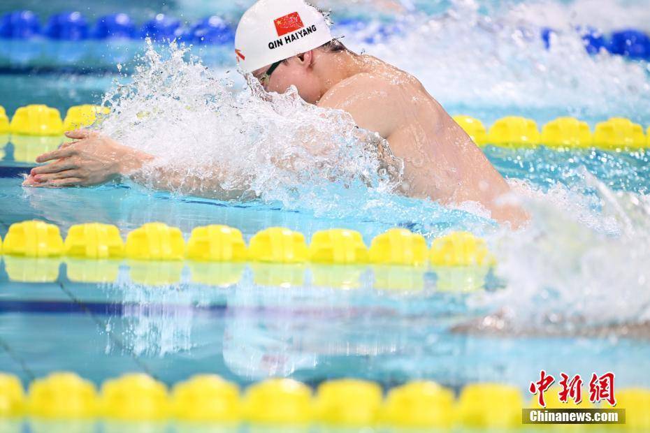 开云体育在线-游泳战队状态火热，誓夺总冠军的简单介绍