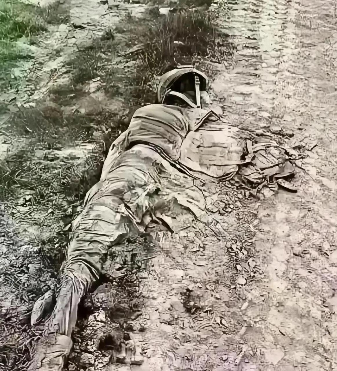 开云体育登录-波兰碾压乌克兰，布鲁诺统治全场