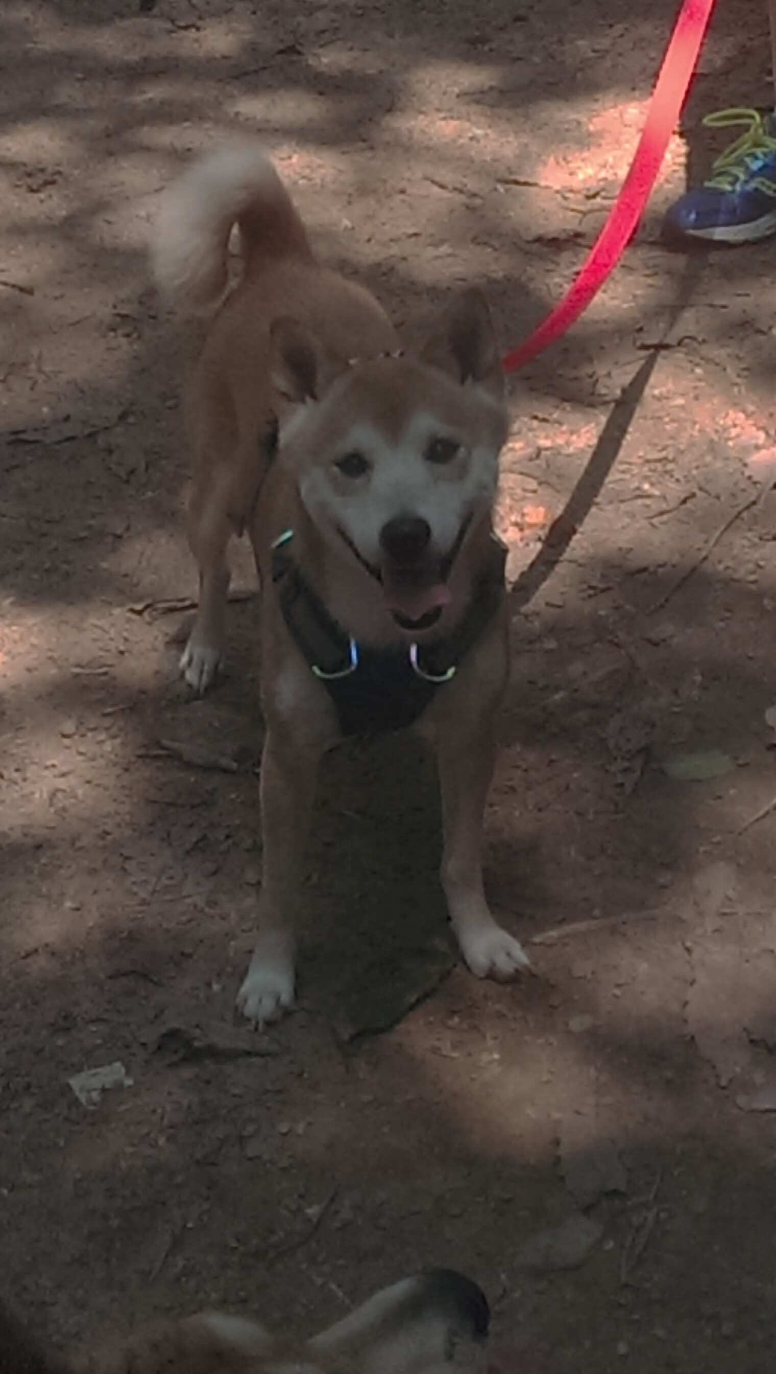 开云体育官网-决胜时刻的艺术家，欧文一记绝唱，爵士跨洋带走胜利