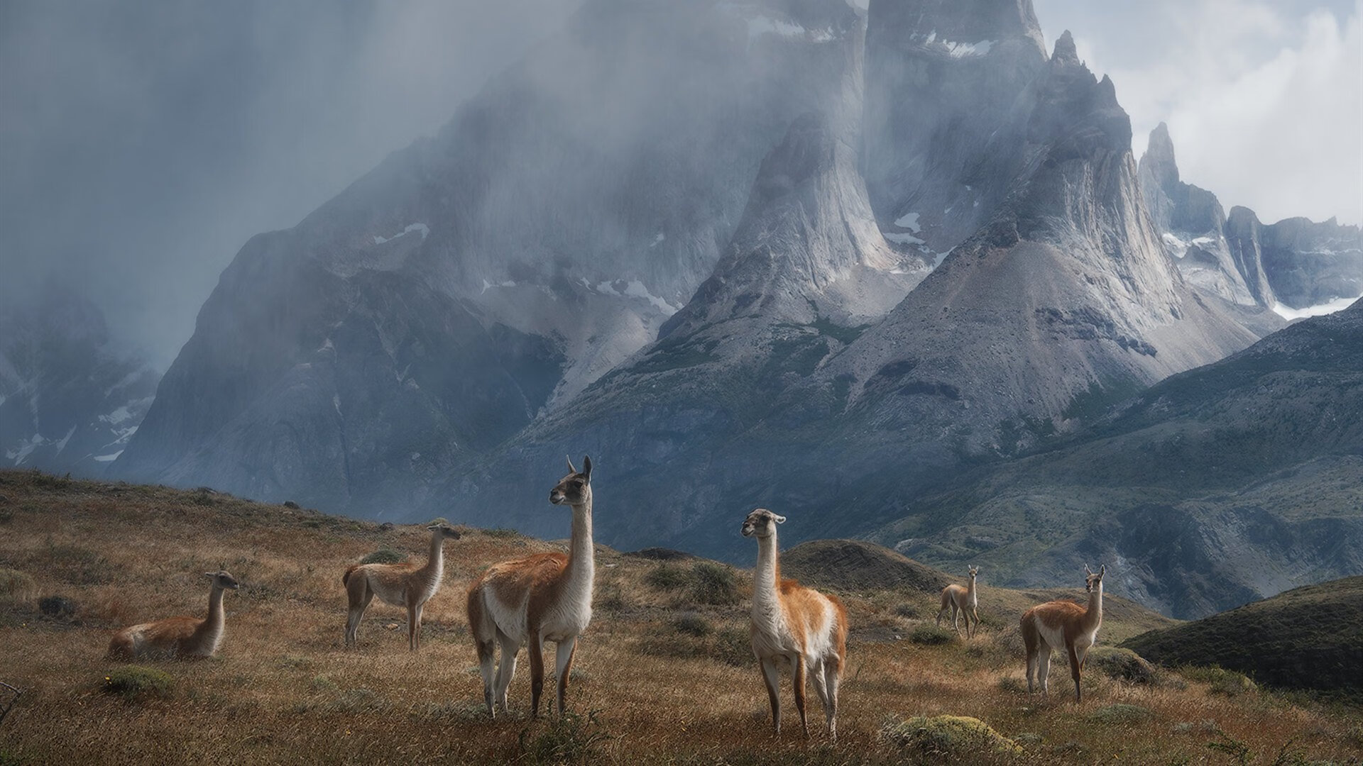 神话与钢铁的对决，托尼撕裂希腊防线，进攻端无人可挡