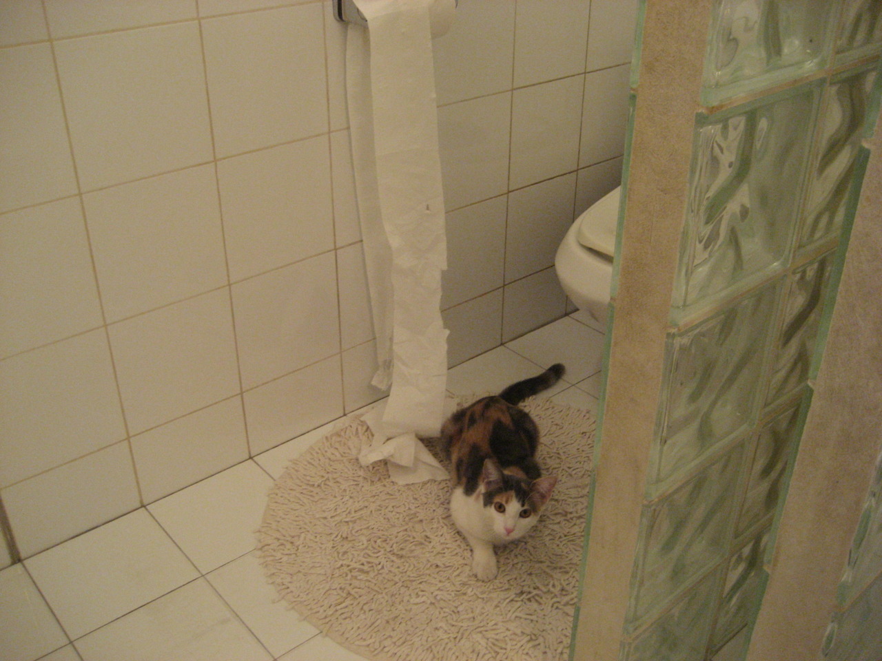 开云体育中国-拉梅洛单场49分引爆跨洋之战 热火加时险胜广东斩获国际争霸赛冠军