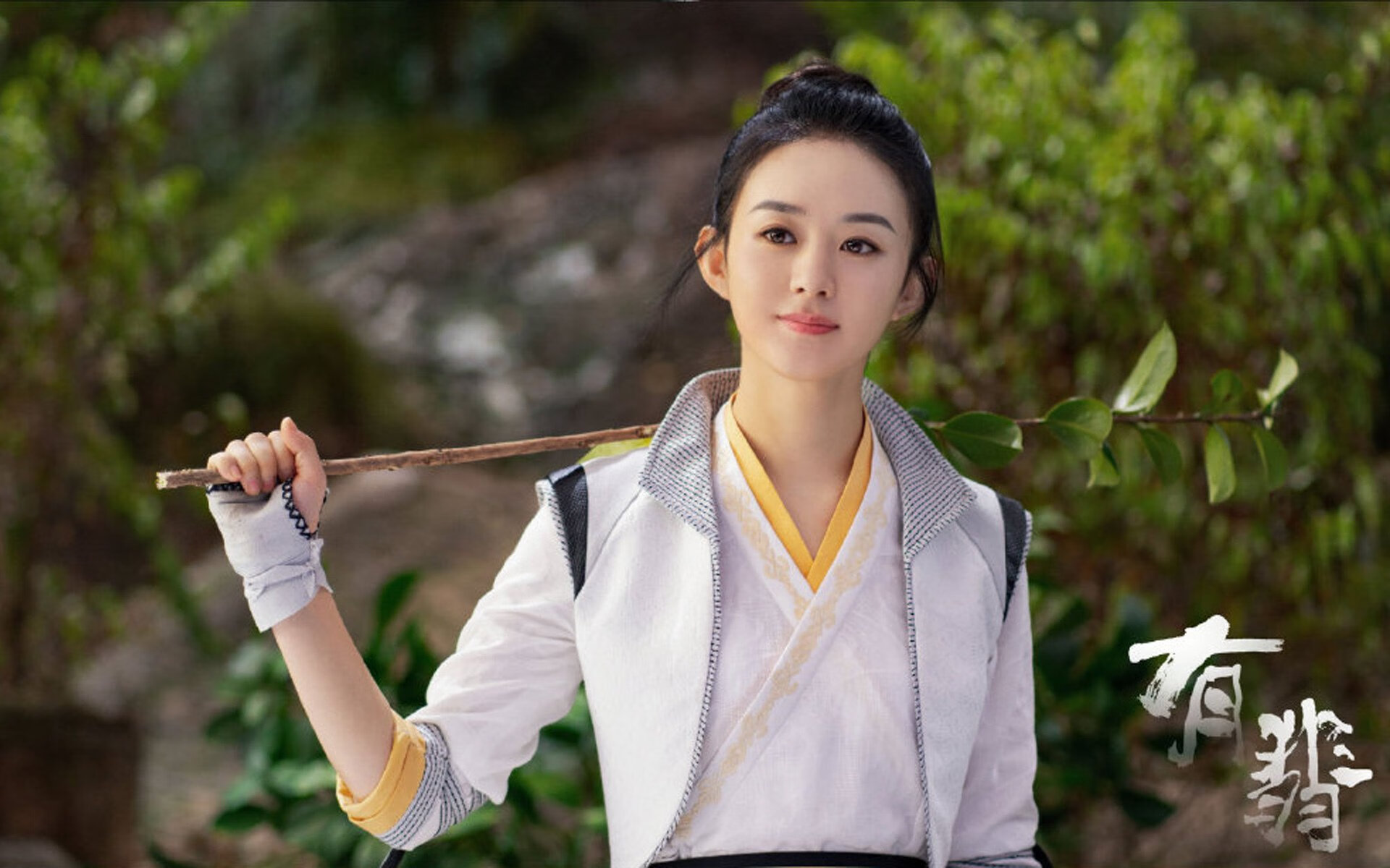 破次元壁的对决，当辽篮字母哥撕裂黄蜂防线