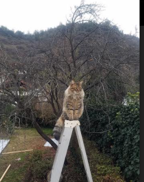 开云体育-铁闸金玟哉世界级发挥，莱比锡红牛欧冠生死战力克里昂晋级