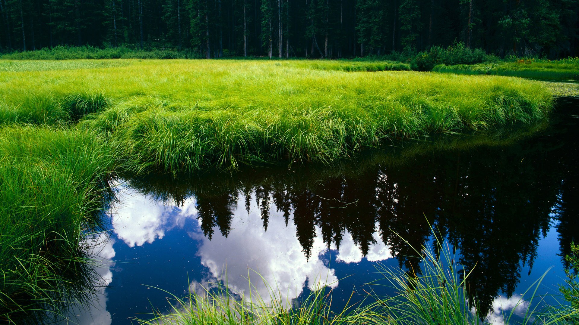 世界排名关键战，阿根廷胜洪都拉斯，争冠之路再进一步