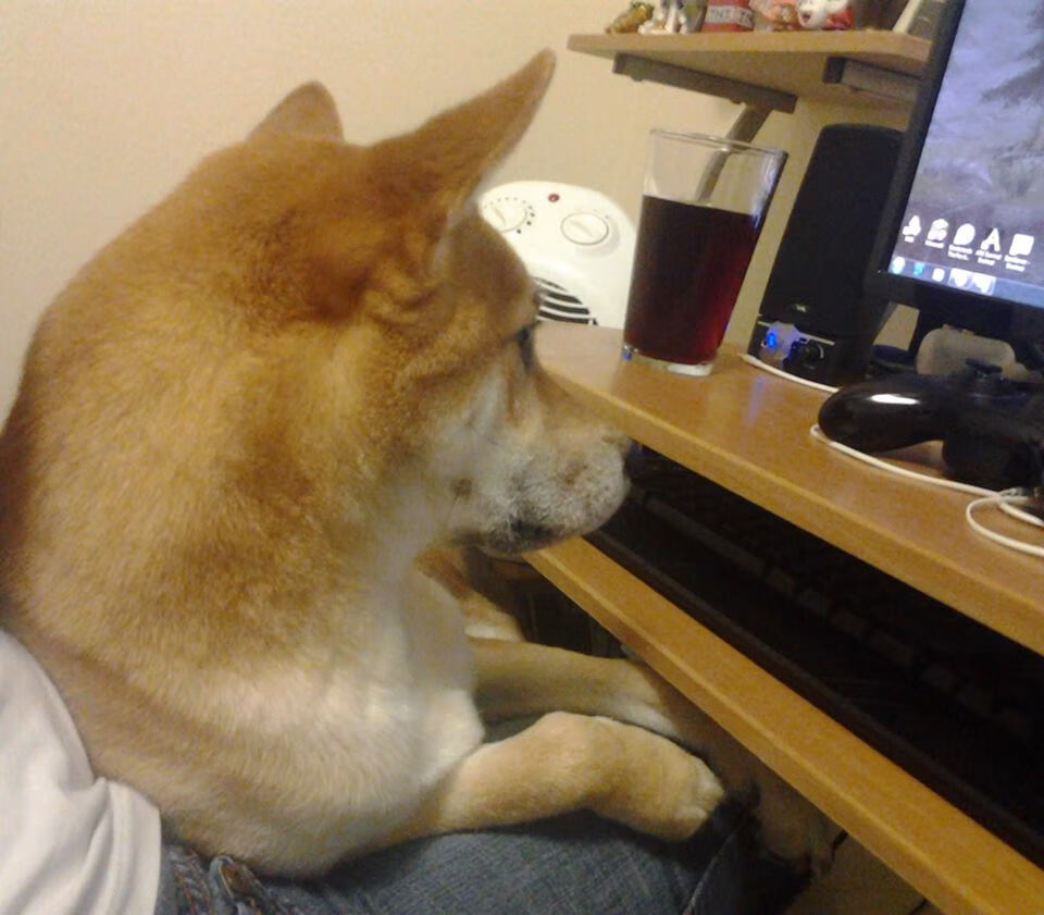 内部报告，卡塔尔财团如何用莱比锡模式为曼城铺就英超争冠之路