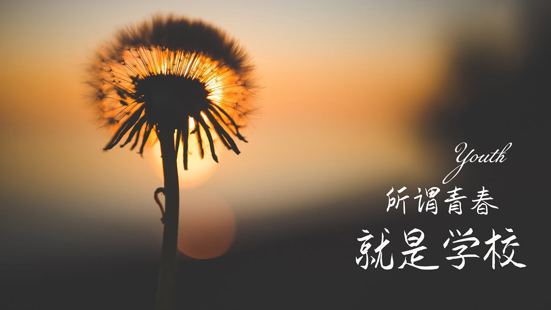 唯一之战，2026世界杯G组，美国铁血压制挪威，凯恩化身默契之魂