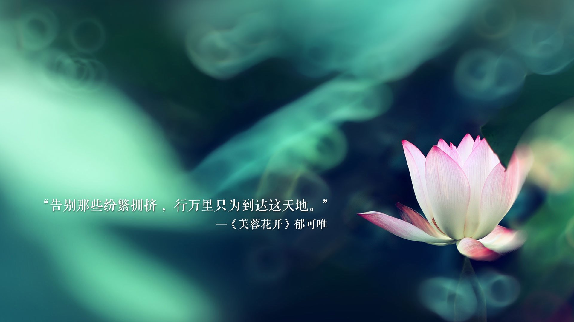 2026世界杯E组风云突变，波兰铁骑踏破葡萄牙黄金战舰，卢卡库天神下凡闪耀全场