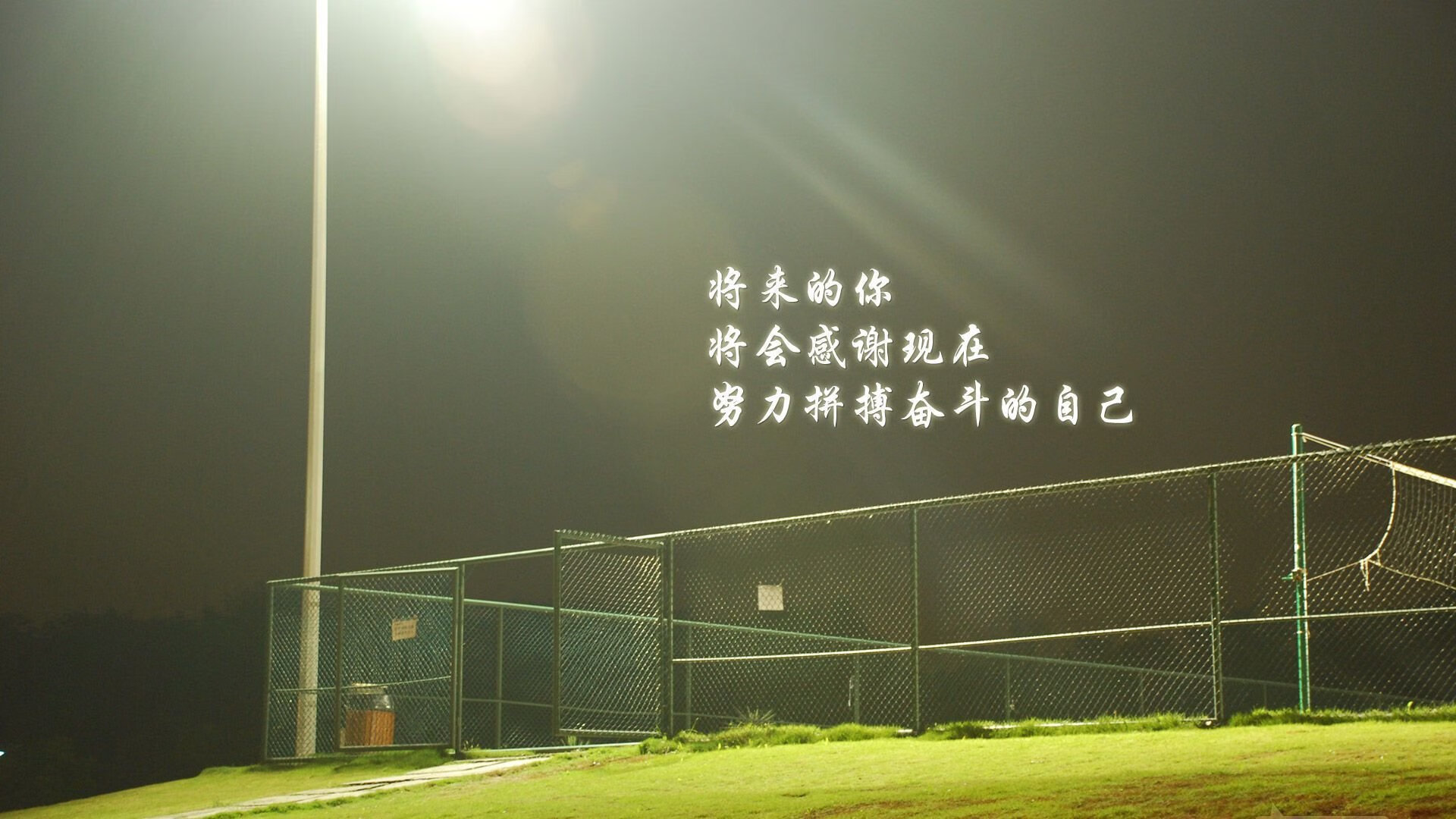 开云体育在线-孤胆英雄的极速传说，阿方索·戴维斯如何用一己之力，在2026世界杯B组关键战中改写喀麦隆命运
